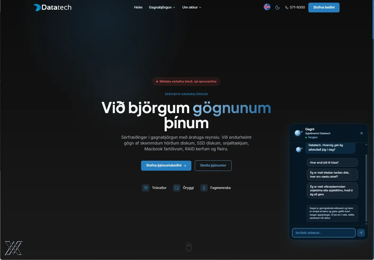 Screenshot of the datatech.is website