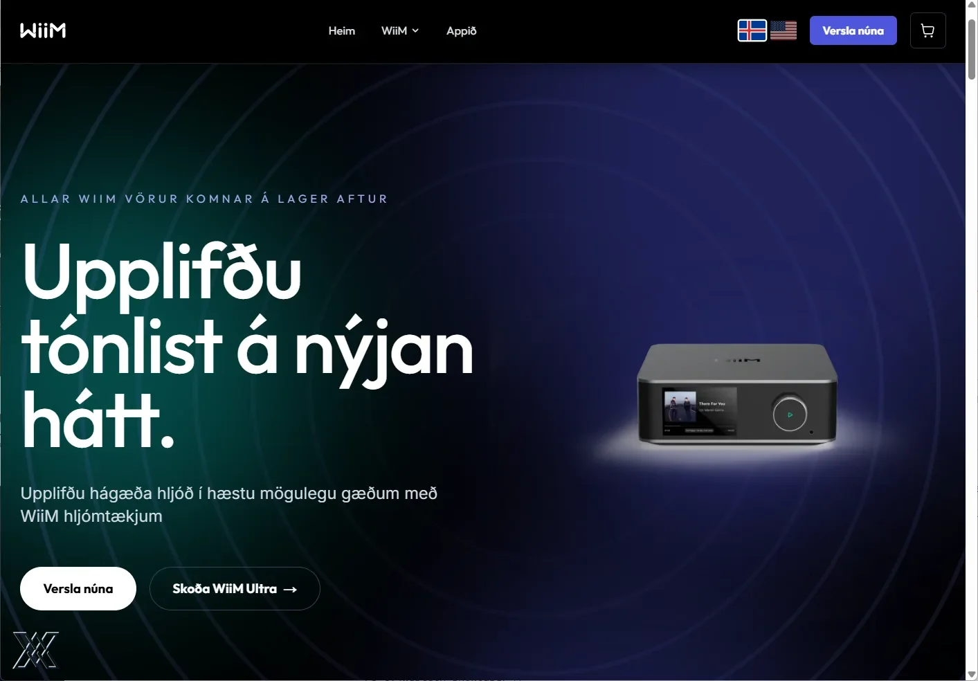 Screenshot of the wiimhome.is website
