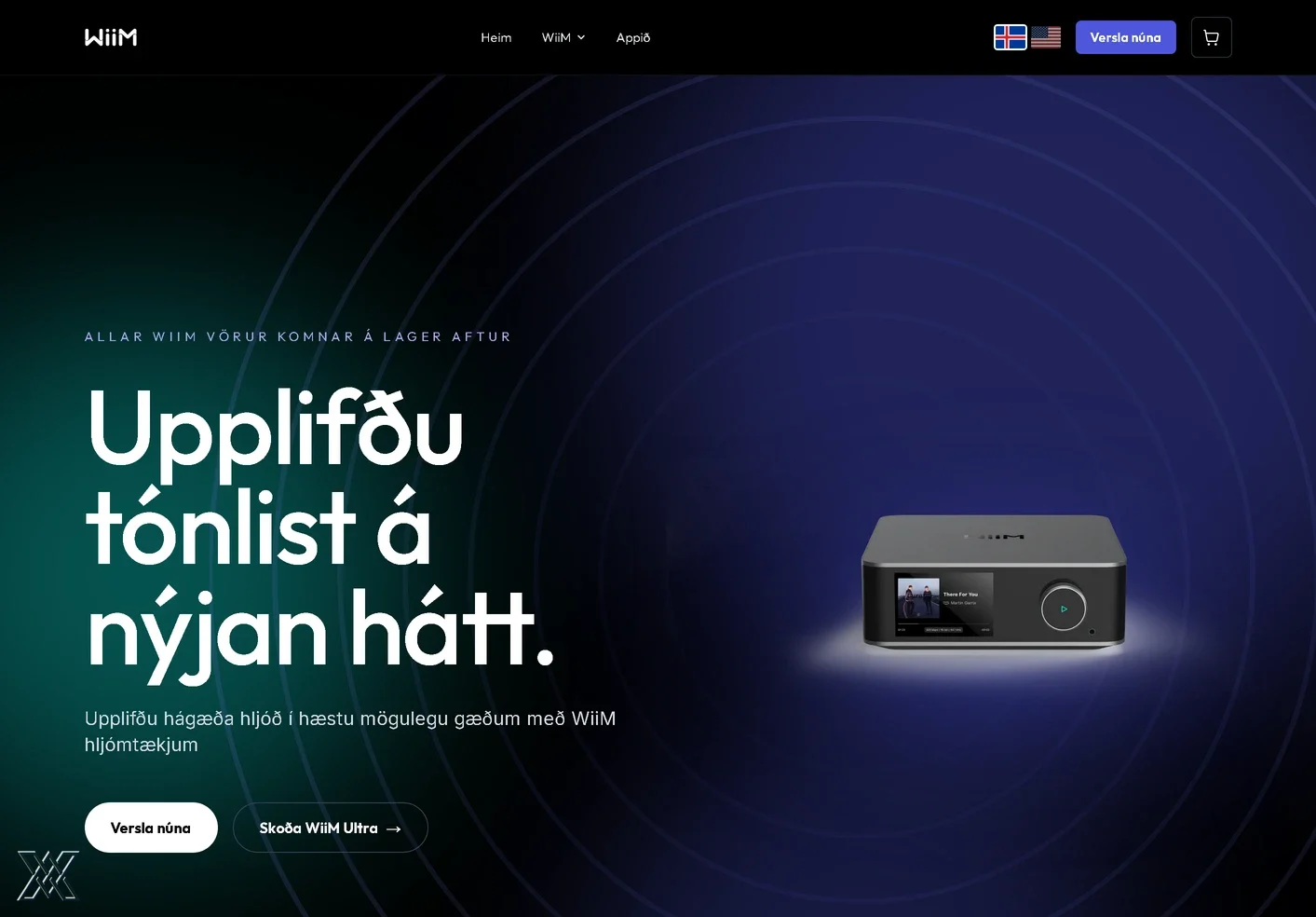 Screenshot of the wiimhome.is website